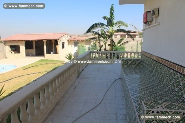 LA FERME 1 Zaghouan, à 50Km de Hammamet T911