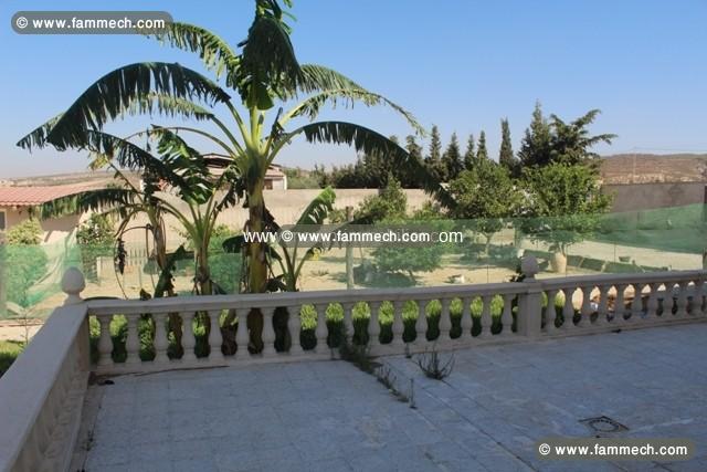 LA FERME 1 Zaghouan, à 50Km de Hammamet T911