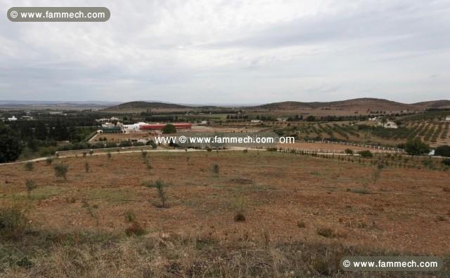 LA FERME DU CHEVALIER Ariana, Sidi Thabeut T870