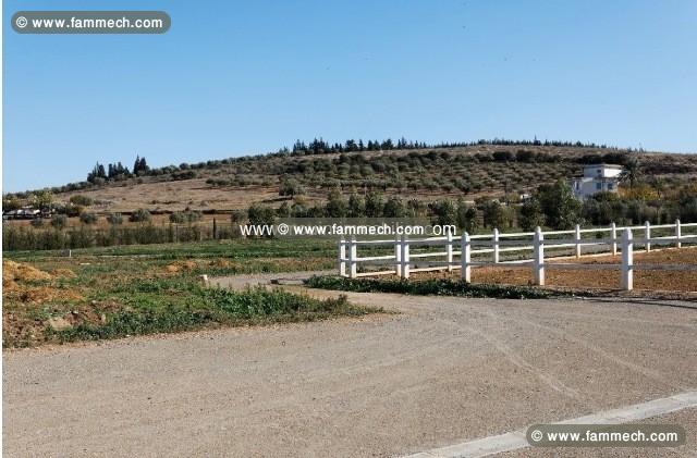 La Ferme Du Chevalier T870 Ariana sidi thabeut 