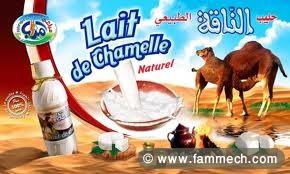 Lait de chamelle 
