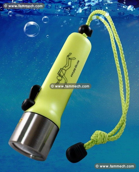 Lampe LED de sous la mer et chasse dans la foret 