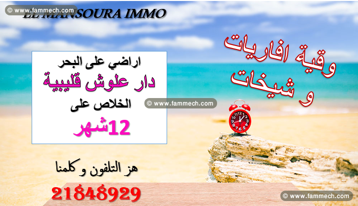 le meilleur offre chez el mansoura immo