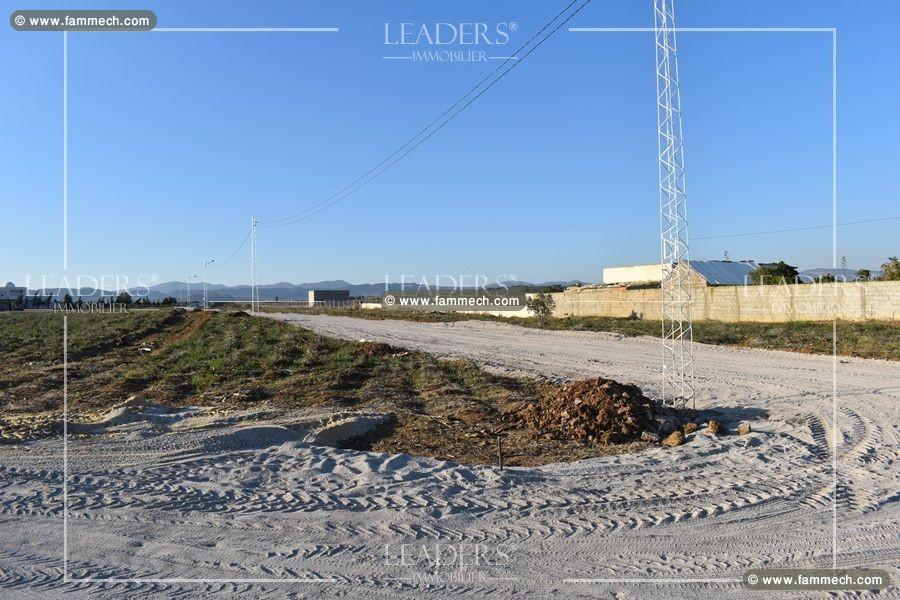 LEADERS IMMOBILIER
