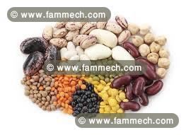 légumes secs/légumineuses
