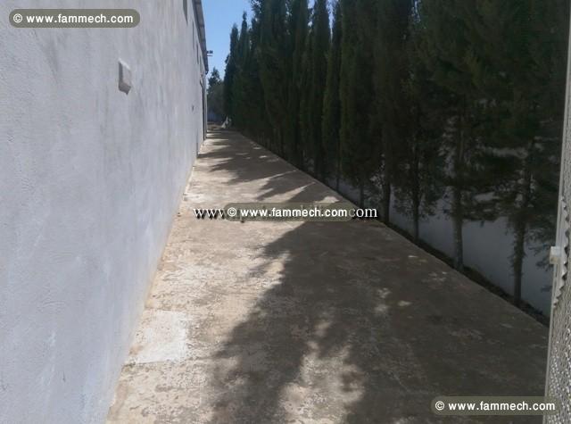 Local De SUD - Hammamet               REF. L1435