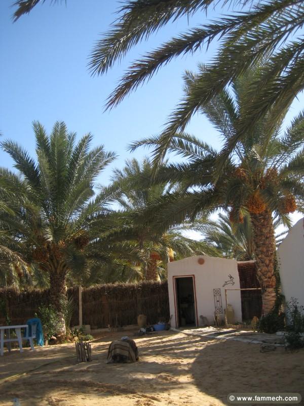 location maison proche de desert à douz
