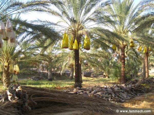 location maison proche de desert à douz