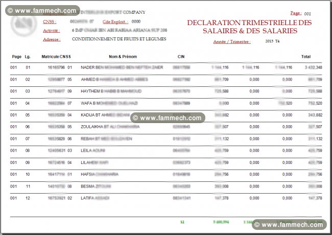 Logiciel déclaration CNSS sur CD