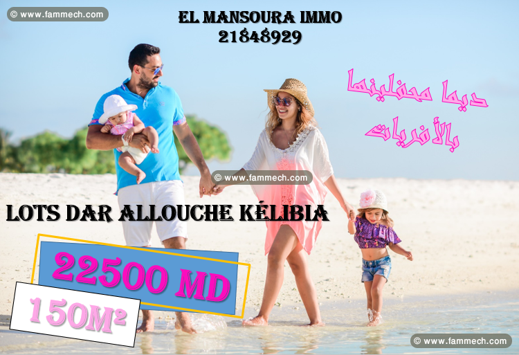 lot a plage dar allouche kélibia