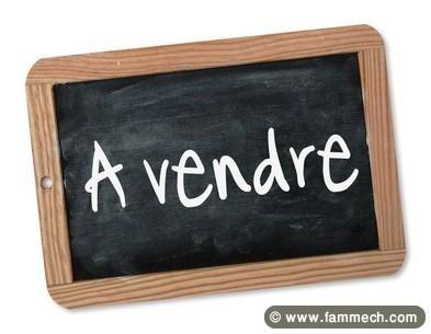 lot de terrain à vendre 
