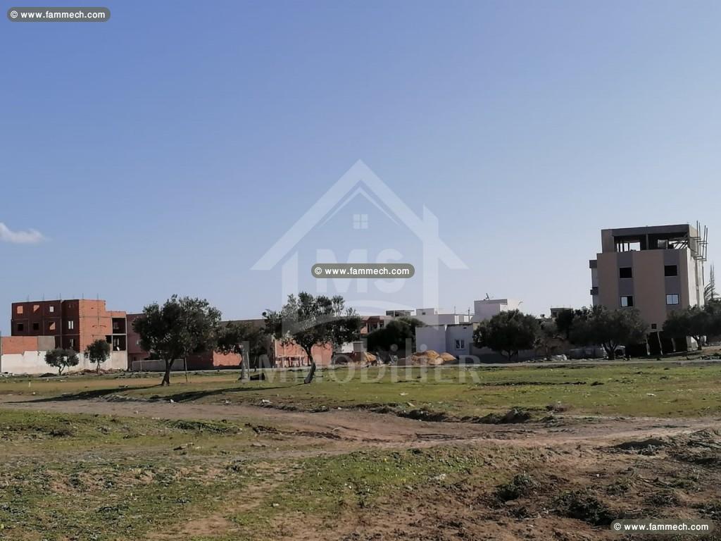 Lot de terrain à vendre à 36 MD à Hammamet51355351