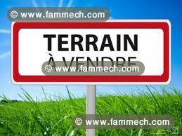 lot de terrain bien situé a ouled oun أولاد عون 