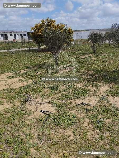 Lot de terrain clôturé à vendre 51355351