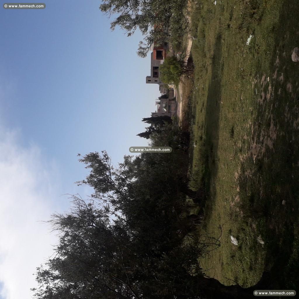 Lot de Terrain de 207 m2 a 52 000 dt