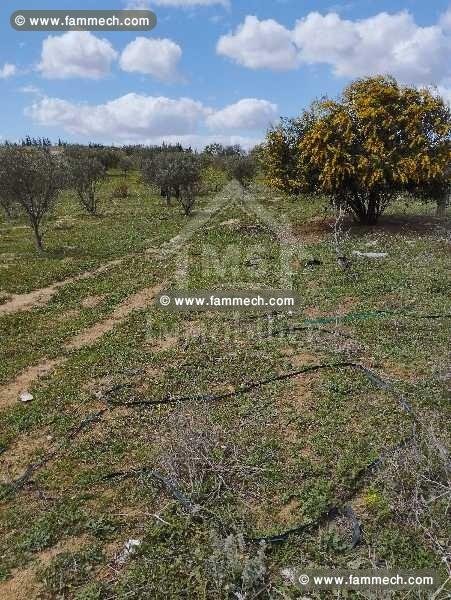 Lot de terrain de 500 m² à vendre à 50 MD 51355351