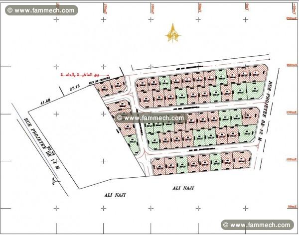 lot de terrains à batir de 200 à350m2 à EL HAMMA