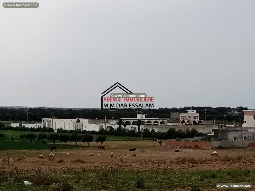 lotissement à vendre 