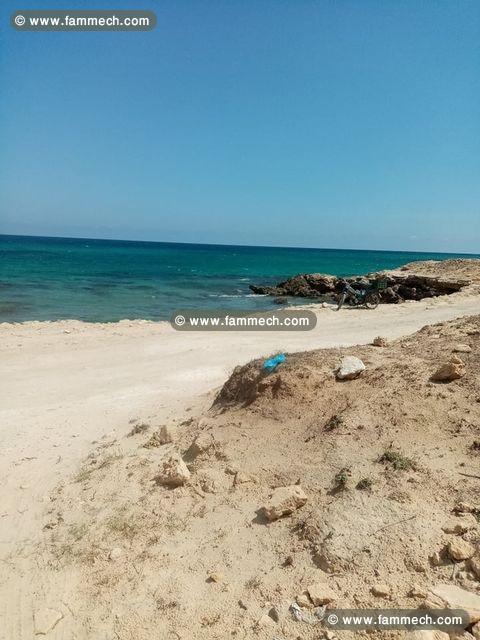 Lotissement vue sur mer à Dar Allouche Kélibia