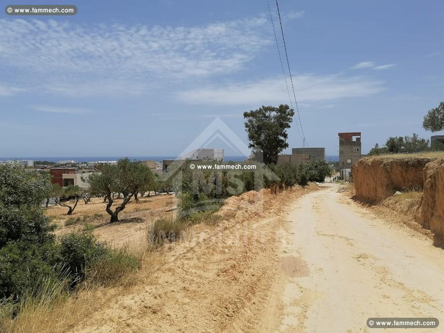 Lots de terrain Vue mer à vendre à Mrezga 51355351