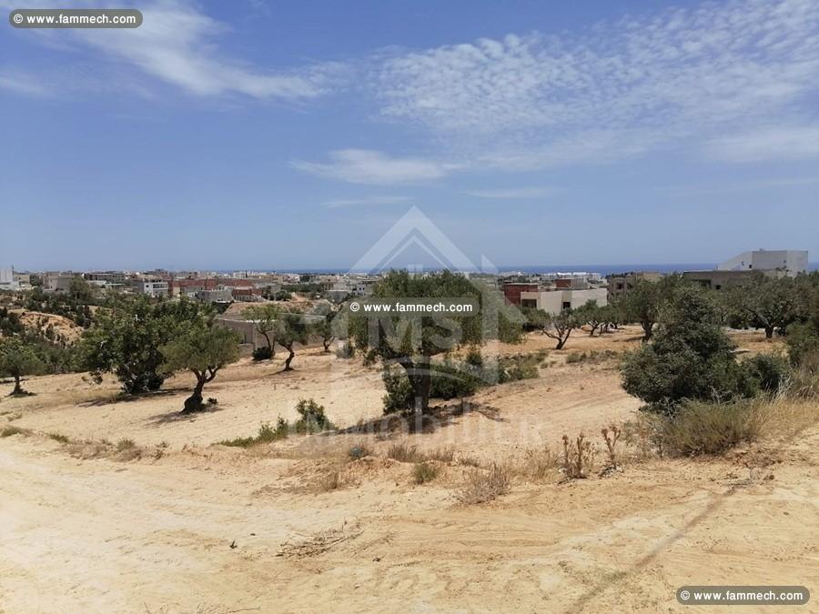 Lots de terrain Vue mer à vendre à 350 dt/m² 