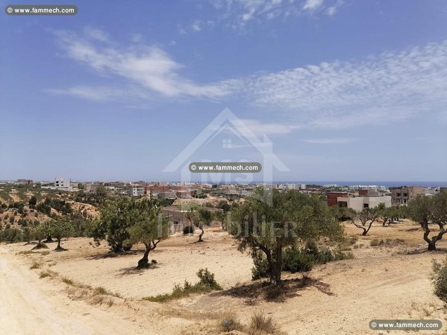 Lots de terrain Vue mer à vendre à 350 dt/m² 