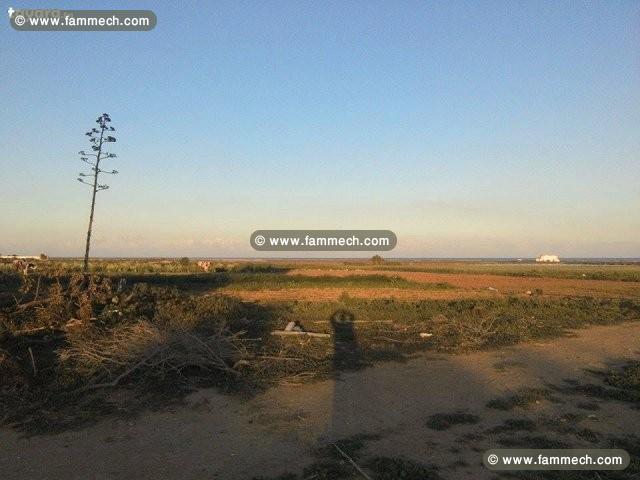 Maamoura, terrain nu en face de la plage