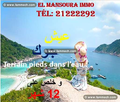 magnifique terrain front mer 