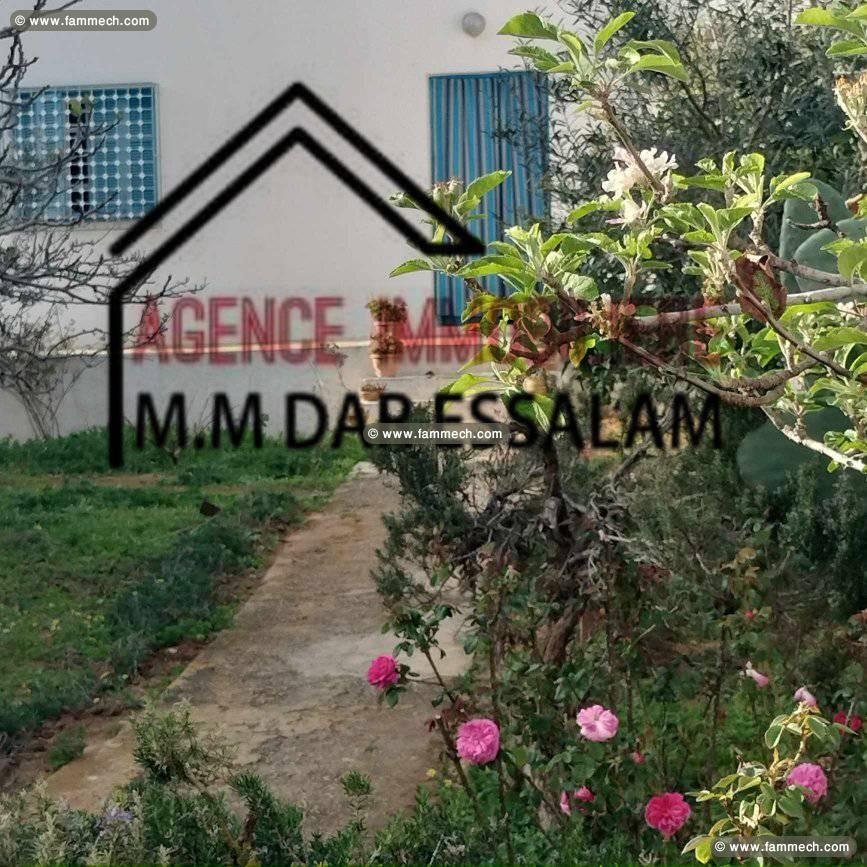maison avec un grand jardin