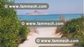 maison meublée vu sur foret et mer a rafraf plage