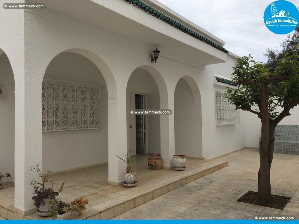 Maison Mounir