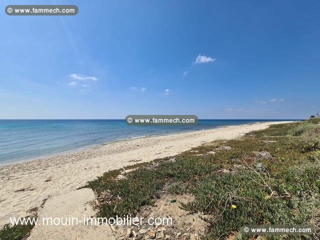 MAISON ROSETTE rr Maamoura AV1533