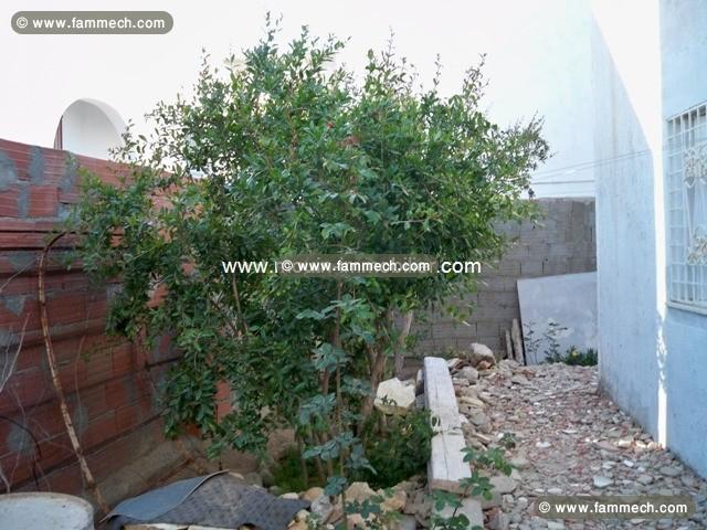 Masion Capucine AV611