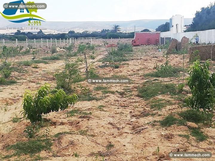 micro ferme à haouaria