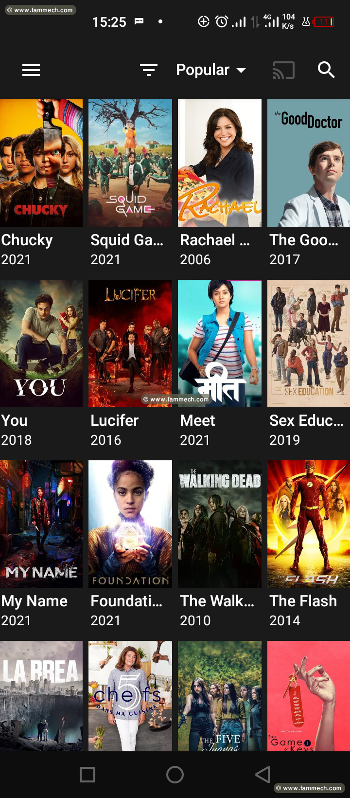 Netflix premium