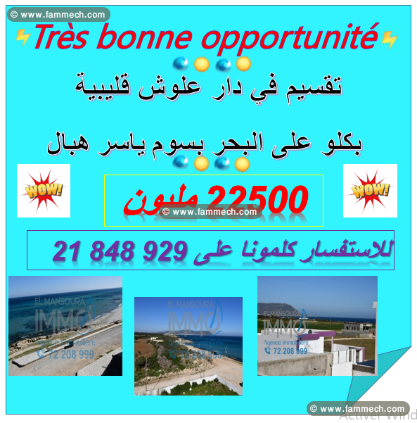 Nous vous proposons à la vente LOT VUE MER