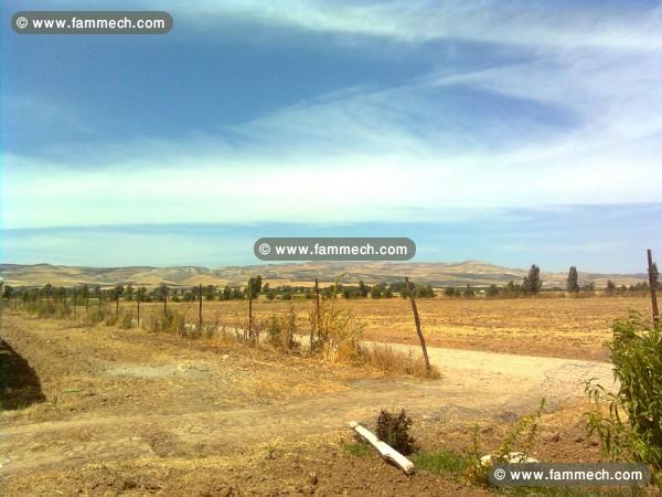 Occasion d'or 8 hectares et 1/4 centre vill