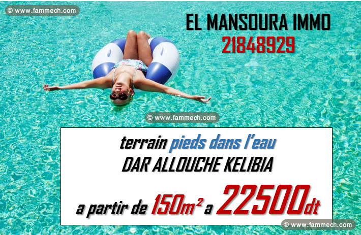 occasion de vente