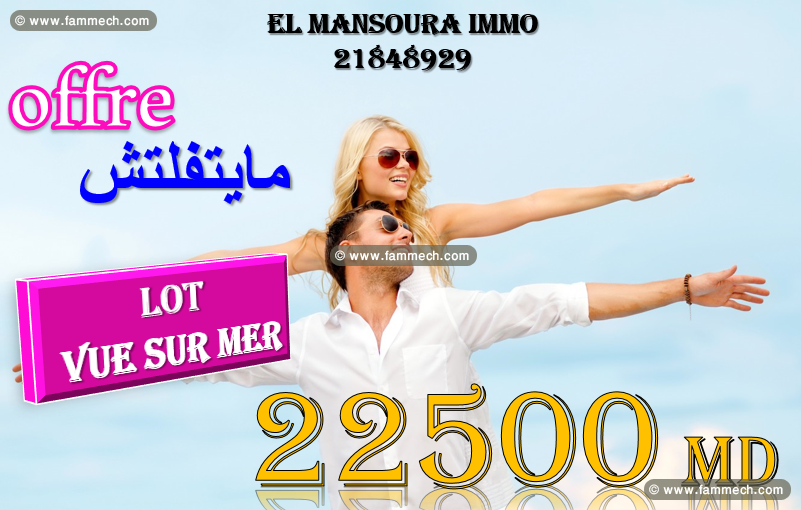 occasion de vente