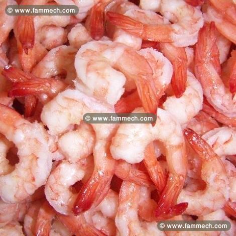 Offre De Crevettes 