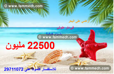 offre de terrain