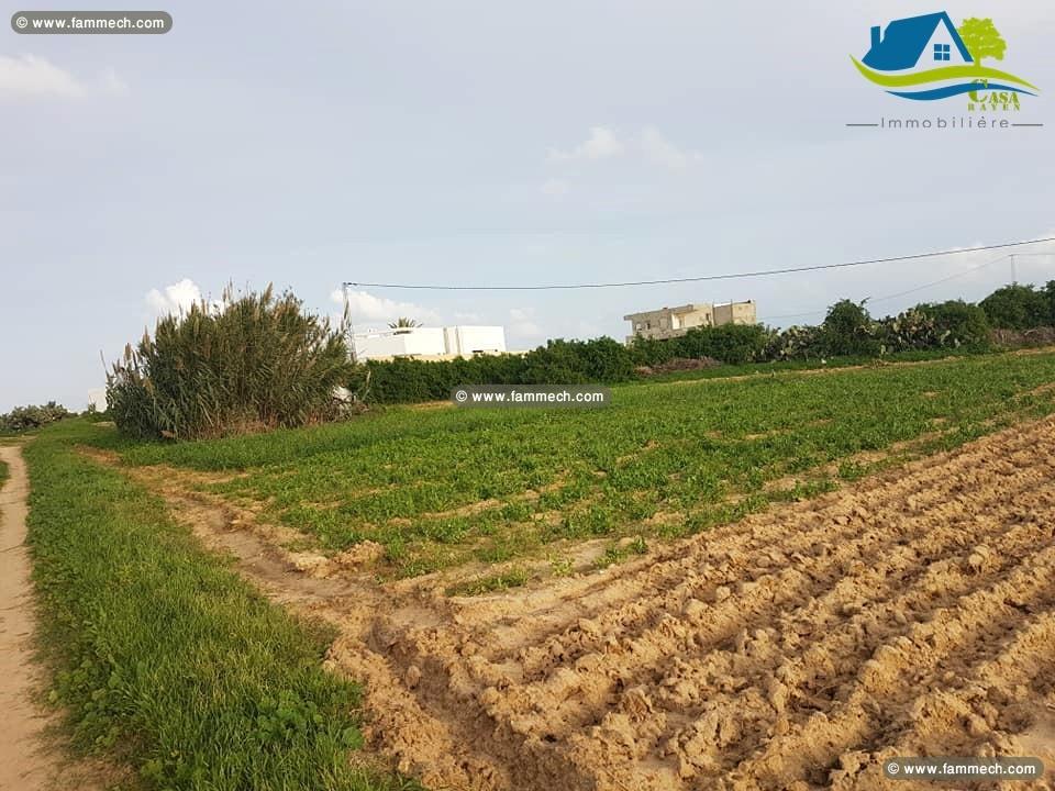 offre de trois terrain 