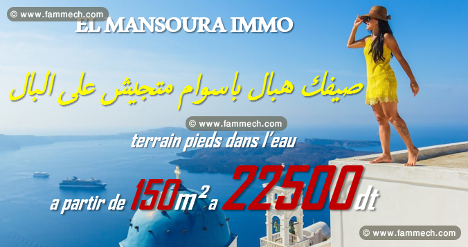 offre de vente des lots a dar alouche kélibia