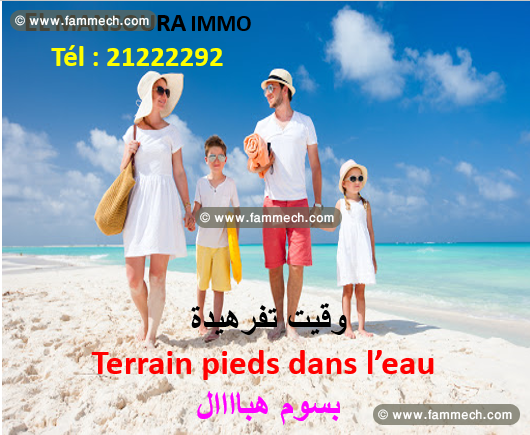 offre du jour terrain front mer 