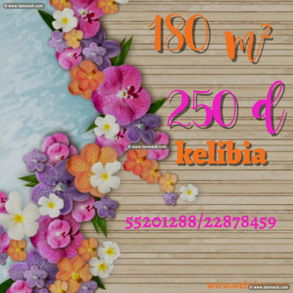offre speciale chez zina immo profitez 55201288
