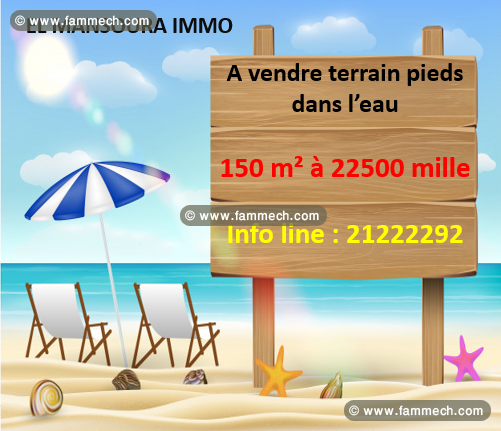 offre vente terrain front mer 