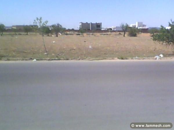 opportunité a sfax