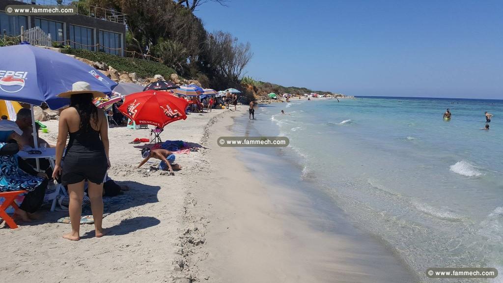 Opportunité 1H terrain pied dans l'eau au cap bon 