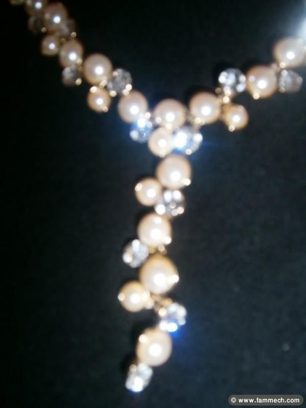 paris importation