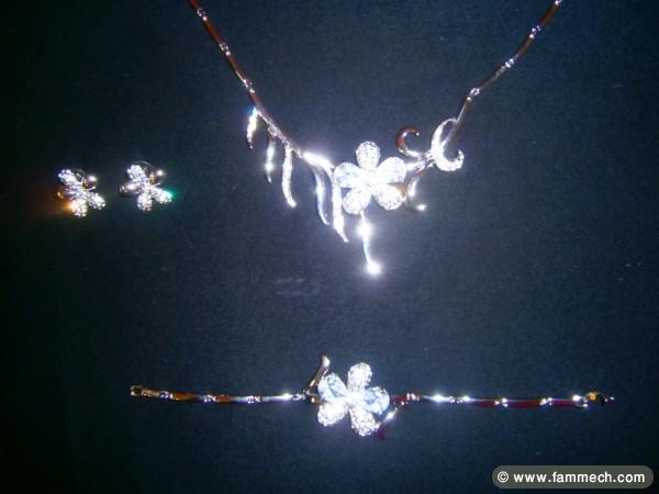 paris importation